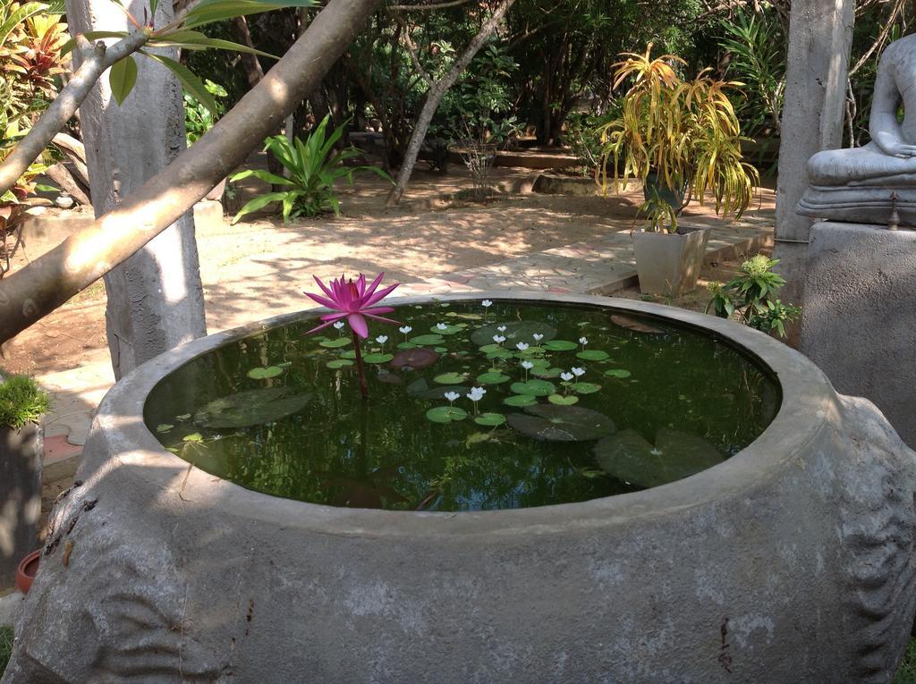 Suduweli Beauties Of Nature - Yala Kirinda  Exteriör bild